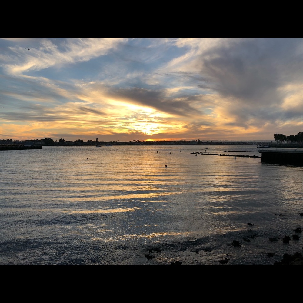 Meet your Posher, Lacey